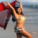 Hanadi salloum